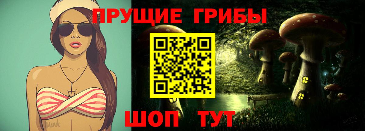 Псилоцибиновые грибы прущие грибы Балтийск