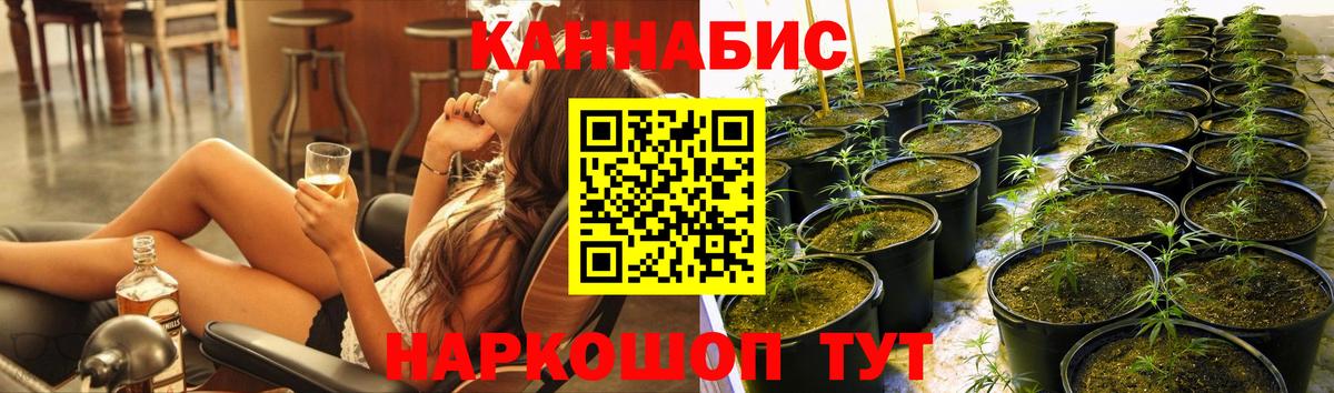 Бошки марихуана MAZAR Балтийск