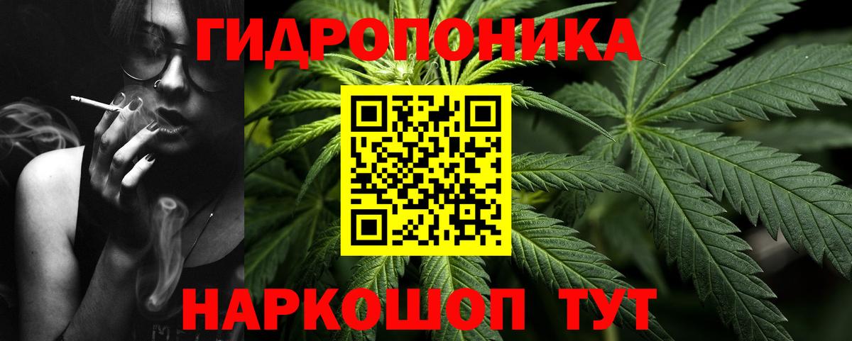 Канабис VHQ  Балтийск  Конопля план  Каннабис конопля 